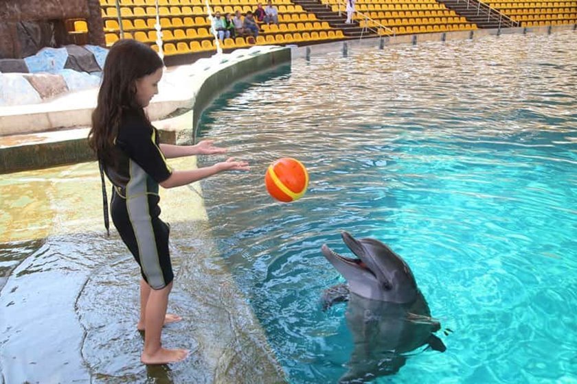 پارک دلفین کیش-کاماپرس