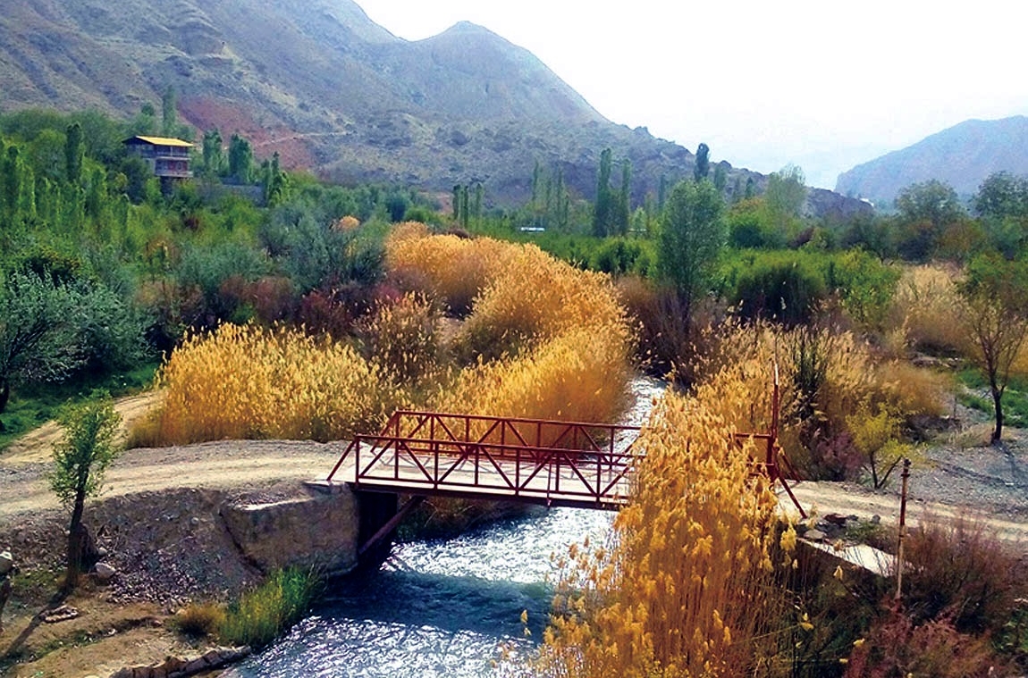 زرین-دشت-کاماپرس