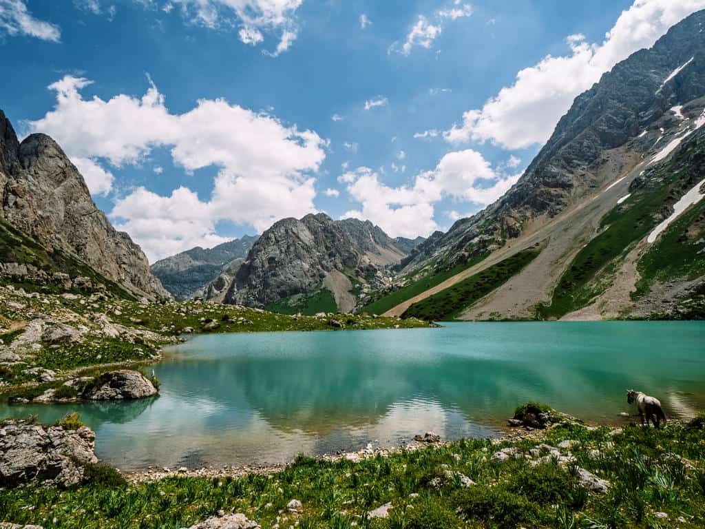 ویزای قرقیزستان-کاماپرس