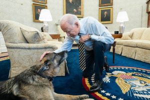 سگ رئیس جمهور-کاماپرس