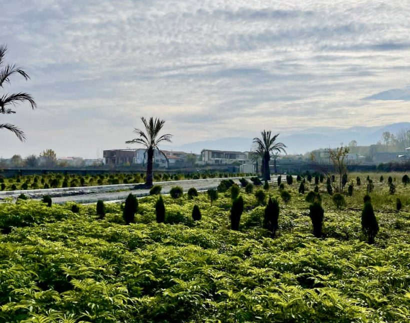 خرید زمین در نور-کاماپرس