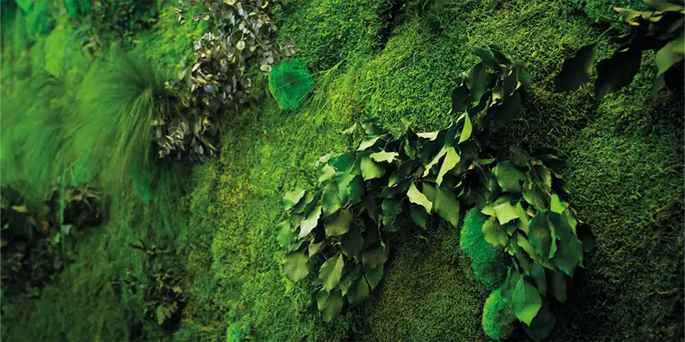 دیوار سبز خزه ای-کاماپرس