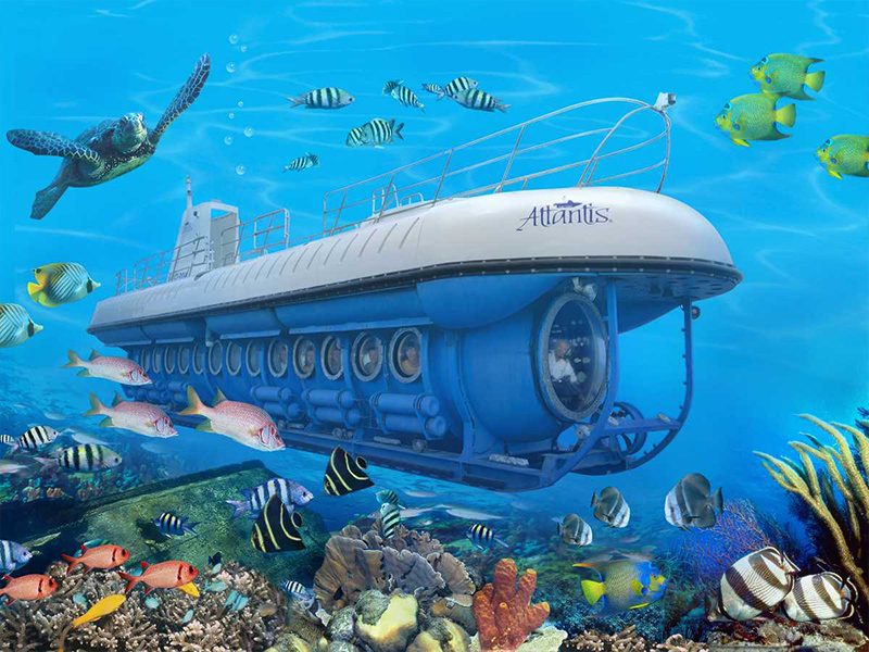 زیردریایی نهنگ