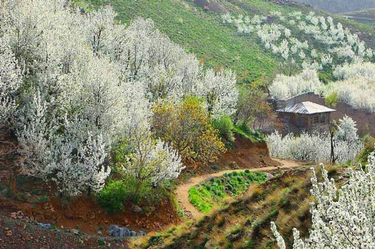 روستای سنگان