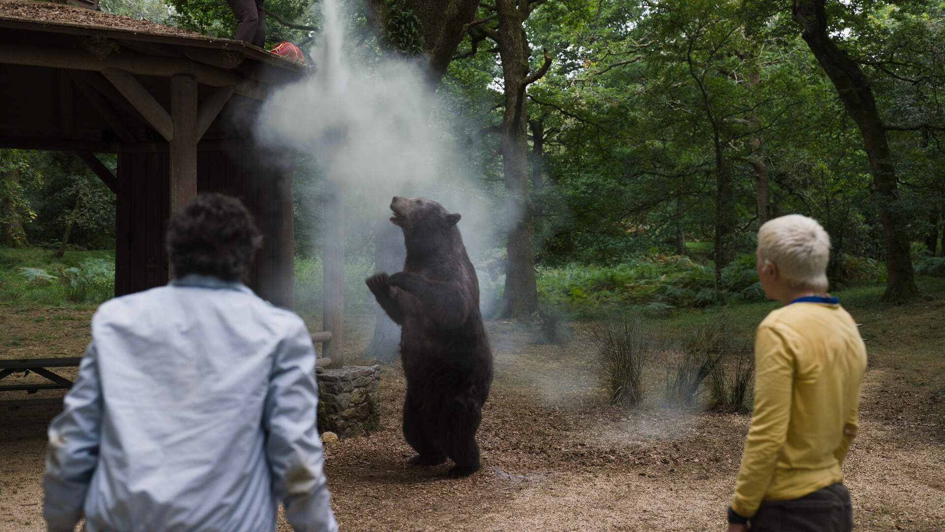 فیلم سینمایی خرس کوکائینی