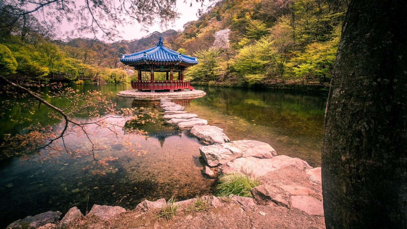 نکاتی برای سفر مقرون به صرفه در کره جنوبی