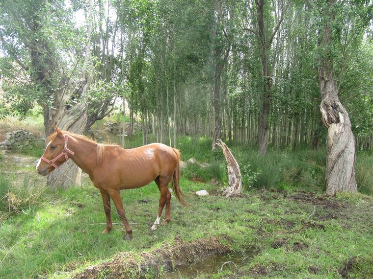 روستای هونجان اصفهان کاماپرس