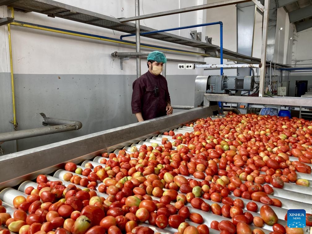 نگاهی به کارخانه رب گوجه فرنگی در افغانستان (ویدیو) کاماپرس