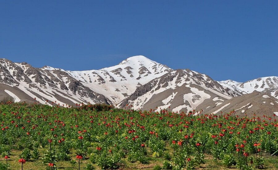 روستای چغیورت اصفهان کاماپرس