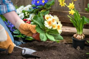 ایده های جالب برای گل کاری حیاط خانه (ویدیو) کاماپرس