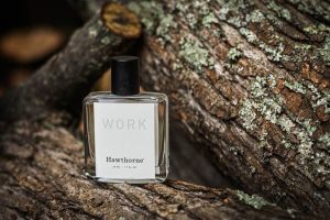 5 عطر زنانه با بوی چوب