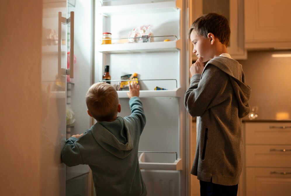 Un couple achète un réfrigérateur côte à côte-کاماپرس