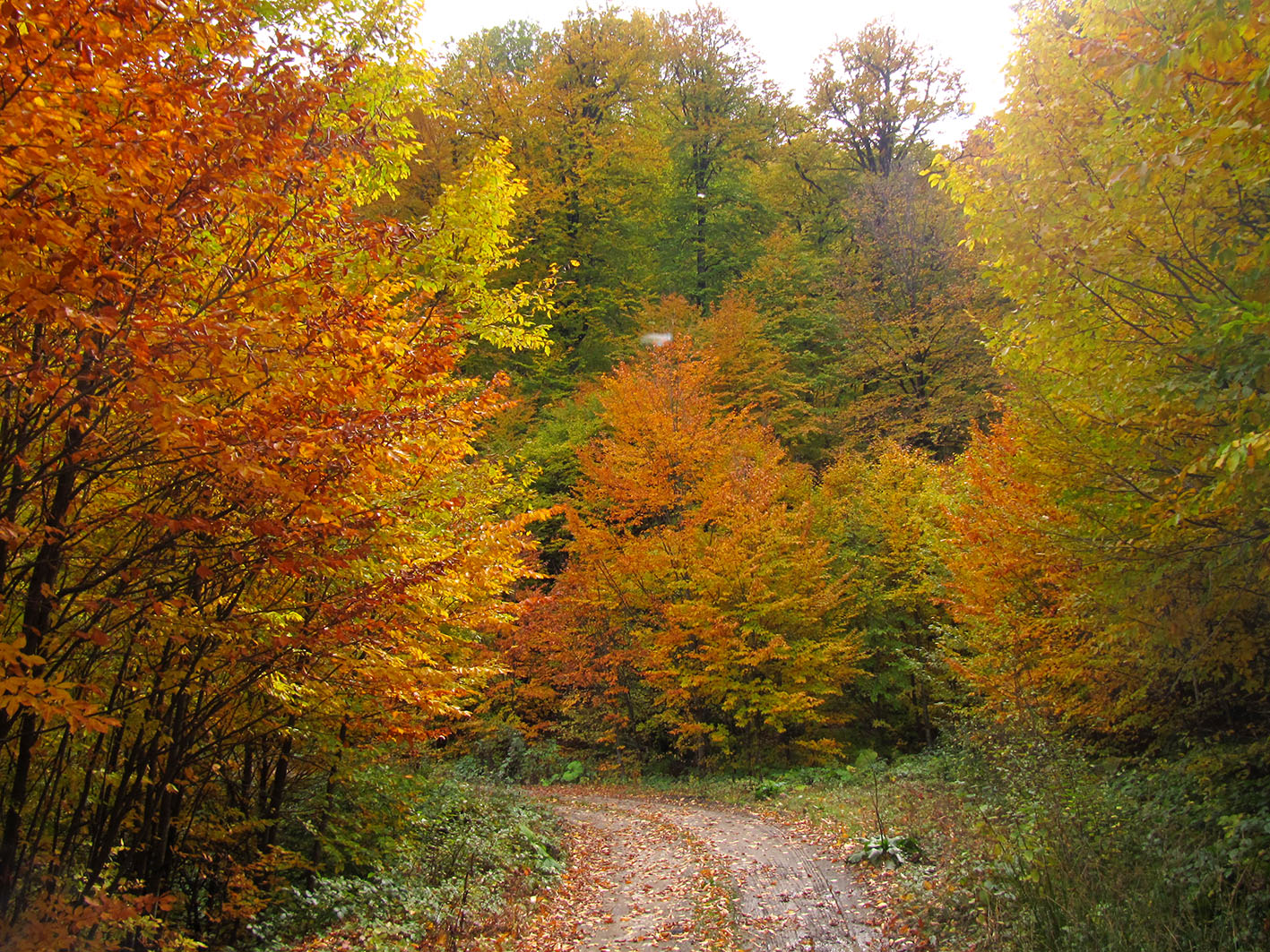 تور طبیعت گردی 