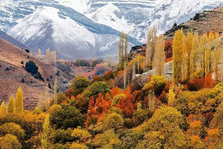 روستای امامه-کاماپرس